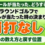 グラウンドゴルフでボールが当たった時の決まり｜打数の数え方と戻す位置